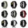 Braided Stretch Nylon Watch Band for Apple Watch 38mm-49mm Adjustable