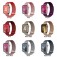 Double Magnetic Milanese Mesh Watch Band for Apple Watch 38mm-49mm